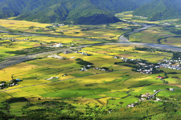 istock High angle shot of farm 1205684418