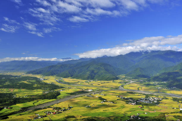 istock High angle shot of farm 1205684477