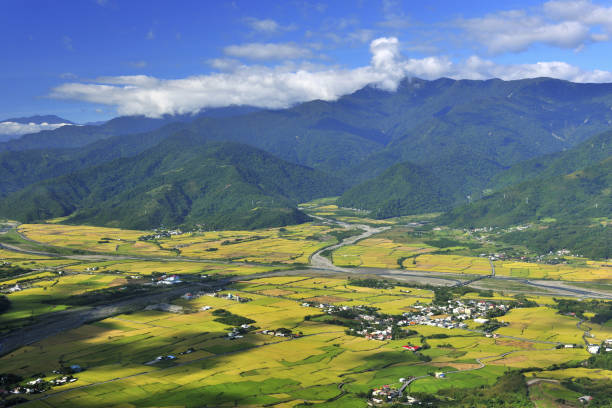 istock High angle shot of farm 1205684555