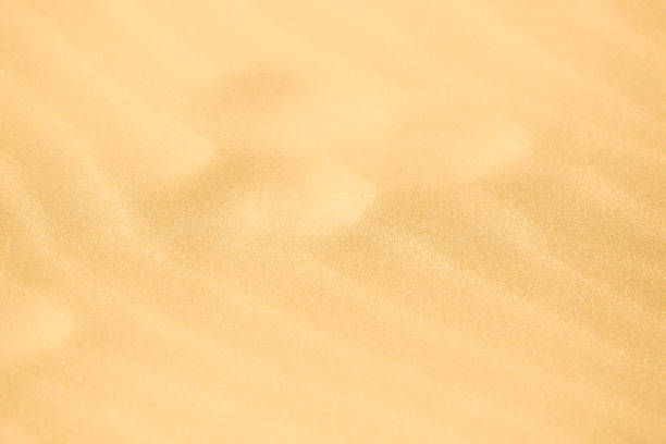 istock Close-Up Of Sand Background Texture 1205686029