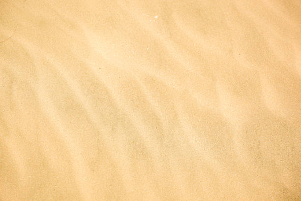 istock Close-Up Of Sand Background Texture 1205686718