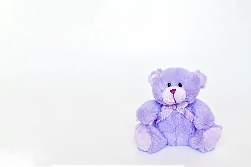 Lovely small purple or violet toy bear sitting on white background with space for text.