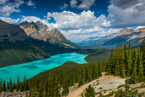 White cumulus clouds over Bow Valley in Banff National Park in Canada. Peyto Lake with its beautiful turquoise colored water in the foreground. America North, Canada, Alberta, Banff National Park.