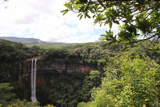 istock Chamarel Waterfall, Mauritius, Indian Ocean, Africa 1205691342