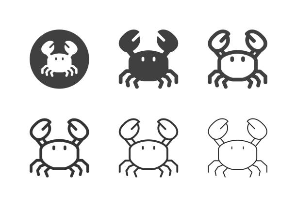 게 아이콘 - 멀티 시리즈 - computer icon symbol sea life prepared crab stock illustrations
