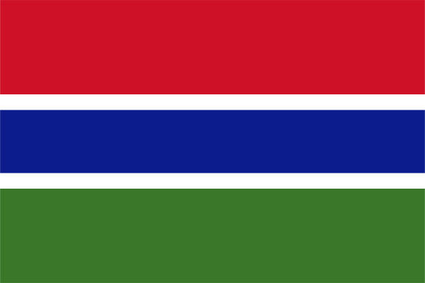 ilustraciones, imágenes clip art, dibujos animados e iconos de stock de diseño de bandera de gambia vectorial - gambia flag