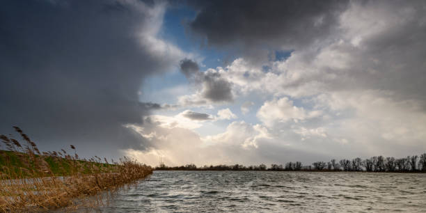 alto nivel del agua en el río ijssel cerca de zwolle en overijssel, países bajos. - cloud morning delta landscape fotografías e imágenes de stock