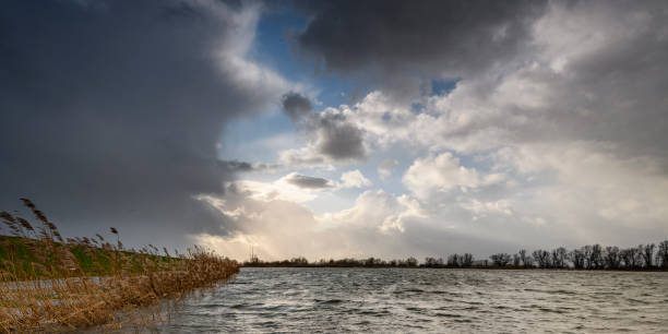 alto nível de água no rio ijssel perto de zwolle em overijssel, holanda. - cloud morning delta landscape - fotografias e filmes do acervo