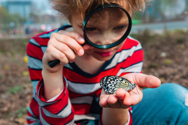 istock boy looking at butterfy, kids learning nature 1205696663