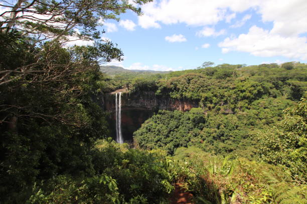 istock Chamarel Waterfall, Mauritius, Indian Ocean, Africa 1205699472
