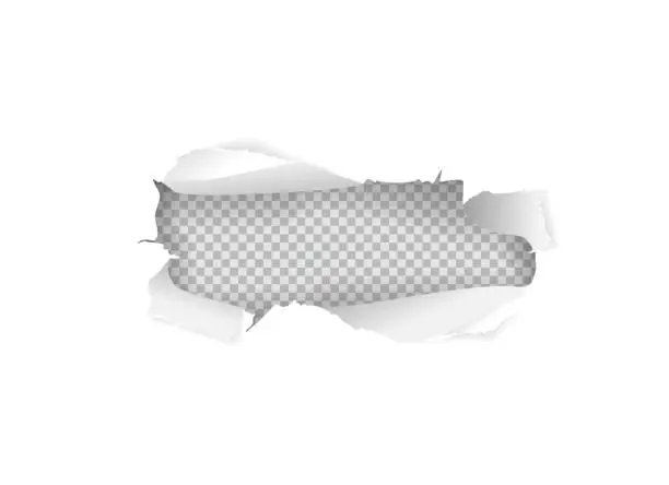 Vector illustration of Torn paper  hole in white sheet of paper on isolated background. Vector Transparent illustration.