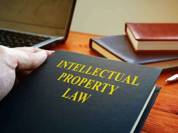 istock Lawyer is holding intellectual property law book. 1205699671