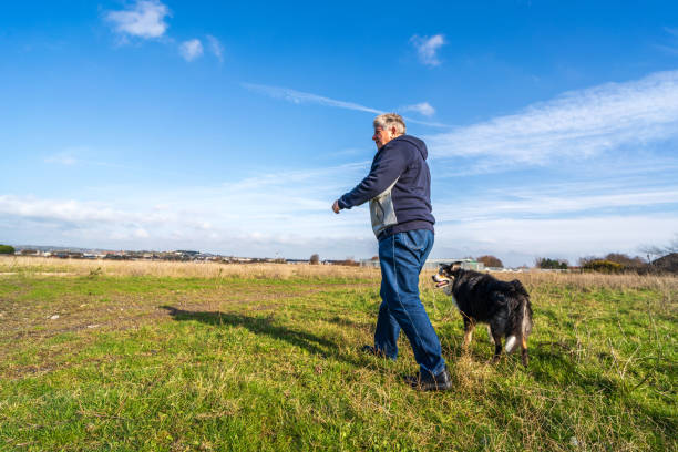 istock Man walking on grassland with border collie 1205700302