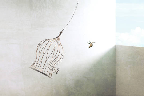 istock little birds escapes out of birdcage 1205700736