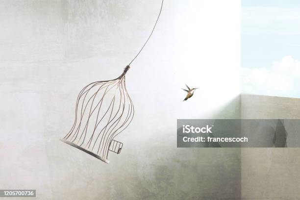 Little Birds Escapes Out Of Birdcage Stock Photo - Download Image Now - Freedom, Change, New Life