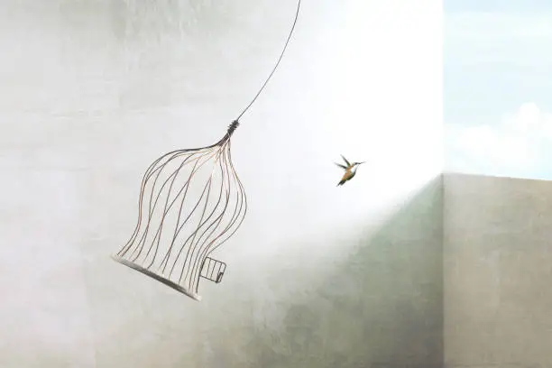 little bird flying out of bird cage, think outside the box