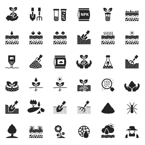 ilustraciones, imágenes clip art, dibujos animados e iconos de stock de conjunto de iconos de suelo - mud terrain