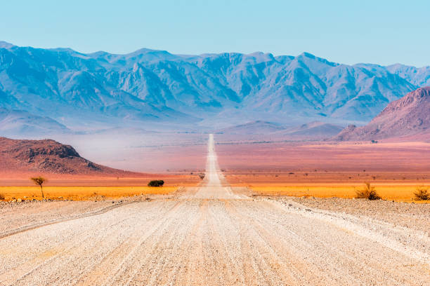 istock Gravel road in Namibia - panorama - Africa 1205700947