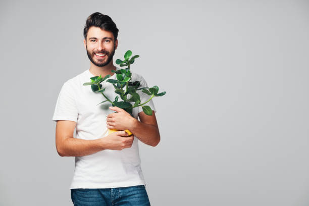 istock Handsome smiling millennial man holding plant isolated on grey background 1205706951