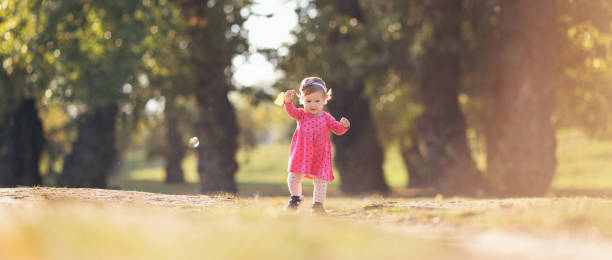 bébé dehors dans la nature prenant ses premiers pas - baby first steps autumn child photos et images de collection