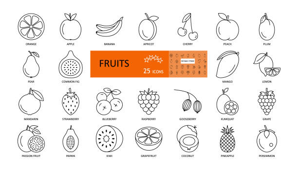 illustrations, cliparts, dessins animés et icônes de fruits et baies. vector icônes minces avec un trait modifiable. fruits sucrés de pomme, orange, abricot, pêche, kiwi, papaye, fraise, raisin, mangue, mandarine de kaki et autres. illustration plate. - fruit strawberry blueberry berry fruit