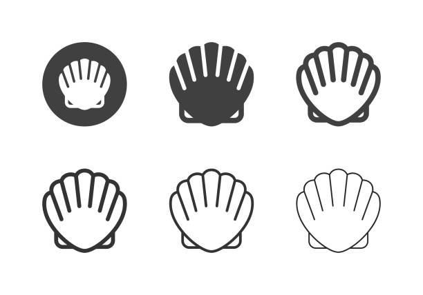 ilustrações de stock, clip art, desenhos animados e ícones de scallop icons - multi series - clam