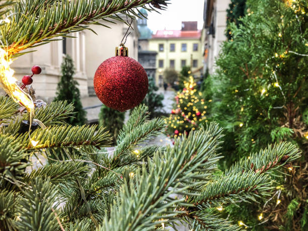 istock decorated pine tree at street for new year 1205716287