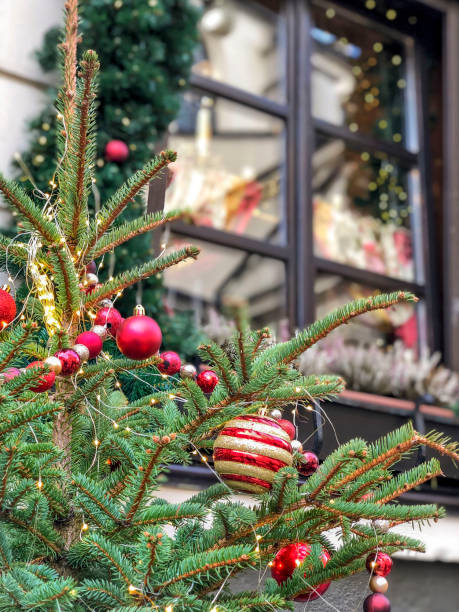istock decorated Christmas tree in front of a window at street 1205716346
