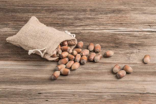 raw hazelnuts in a burlap sack on a wooden table