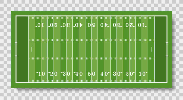 ilustrações de stock, clip art, desenhos animados e ícones de american football field - turf white green horizontal