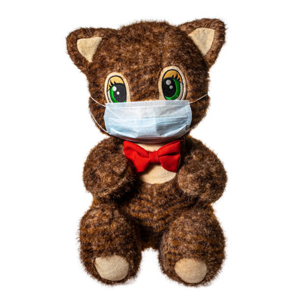 istock Toy cat with medical mask 1205718719