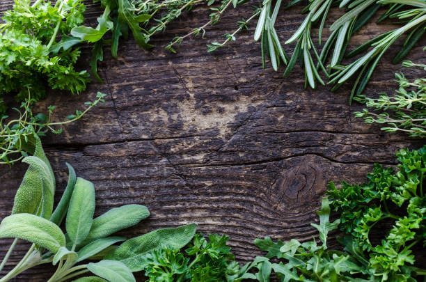 istock Assorted herbs on an old and vintage wooden background 1205720351