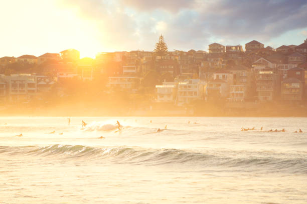 persone che si rilassano sulla spiaggia di bondi a sydney, australia - surfing new south wales beach australia foto e immagini stock