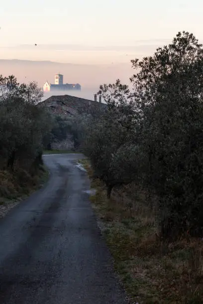 Surreal and uncommon view of St.Francis church in Assisi town (Umbria) over a sea of fog, at the end of a road in the middle of trees.