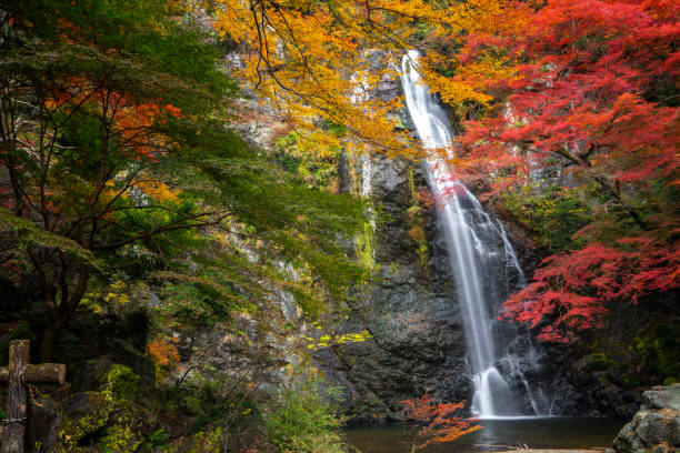 istock minoh waterfall park with autumn red and yellow background 1205731272