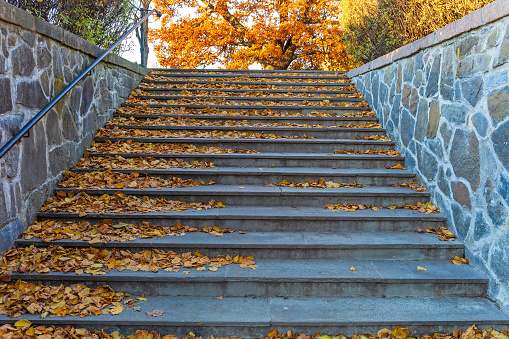 Stairway Covered With Fallen Foliage Autumn Norway