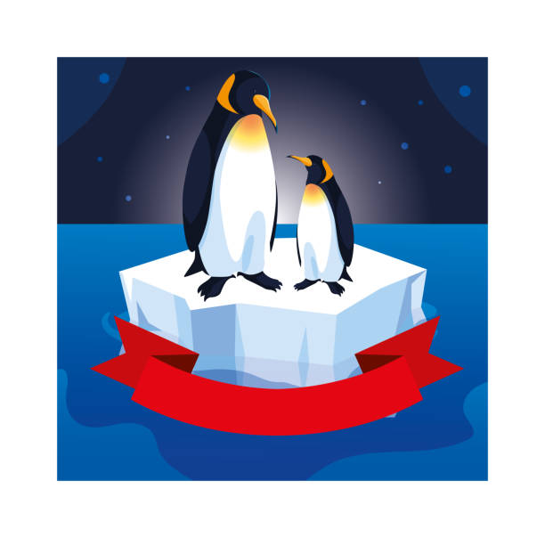 ilustrações de stock, clip art, desenhos animados e ícones de penguin couple on an ice floe drifting - iceberg banner animal bird