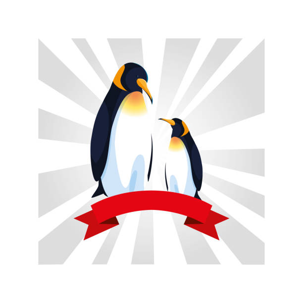 ilustrações de stock, clip art, desenhos animados e ícones de penguins greeting card with ribbon - iceberg banner animal bird