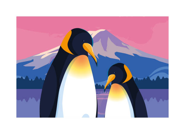 ilustrações de stock, clip art, desenhos animados e ícones de penguins at the north pole, arctic landscape - iceberg banner animal bird