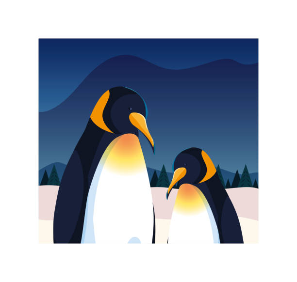 ilustrações de stock, clip art, desenhos animados e ícones de penguins at the north pole, arctic landscape - iceberg banner animal bird