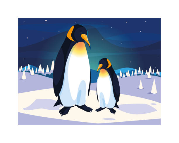 ilustrações de stock, clip art, desenhos animados e ícones de penguins at the north pole, arctic landscape - iceberg banner animal bird