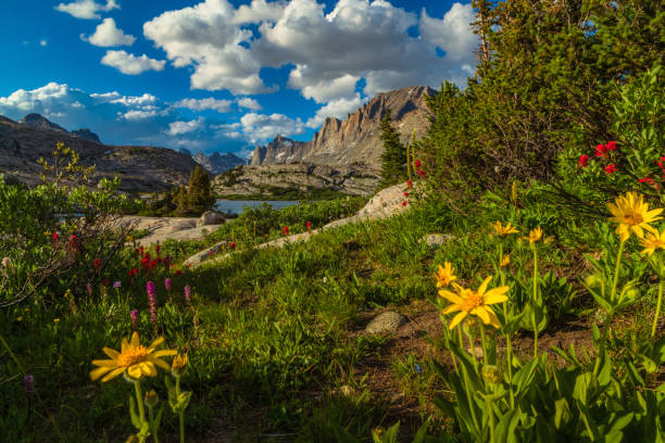Beauty Of The Mountains
