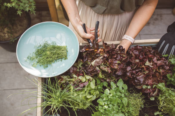istock Nice and fresh veggies from home garden 1205750307