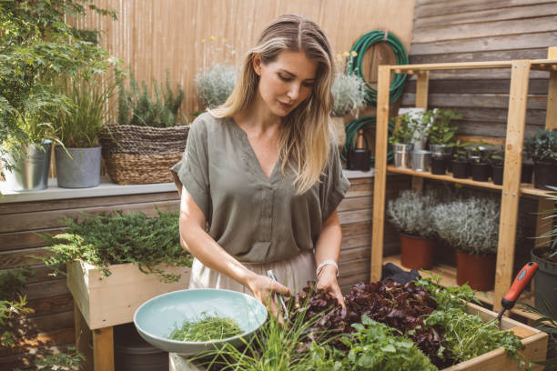 istock Nice and fresh veggies from home garden 1205750337
