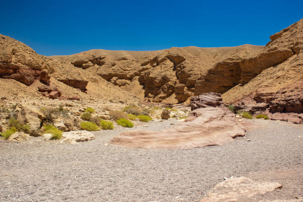 istock global warming dry ground sand stone desert rocky wilderness waste land environment 1205754087