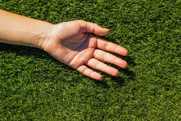 istock young girl hand lay on a green grass meadow background surface under sunny bright lighting 1205754136
