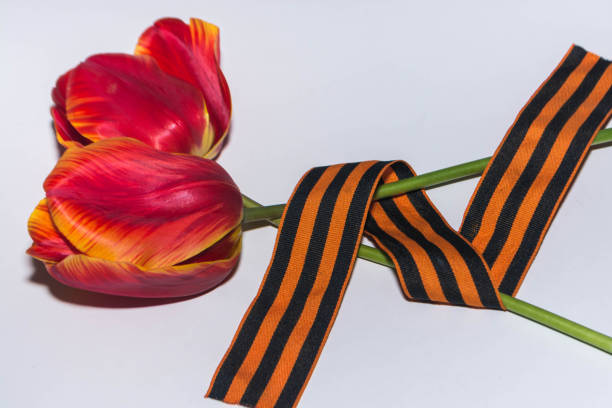 istock St. George Ribbon and tulips 1205755318