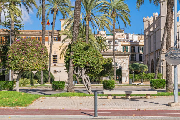 Shore road Avinguda de Gabriel Roca commonly known as Paseo Marítimo with the historic Gothic building of  Llonja de Mallorca or Llotja de Palma, cycle track and scissored trees