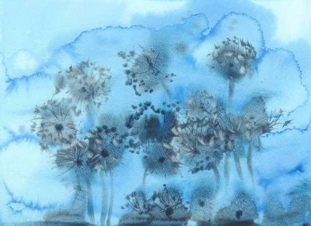 dandelion clockin the blue grunge watercolor background Dandelion clockin the blue grunge watercolor background. Flower illustration dandelion clock stock illustrations