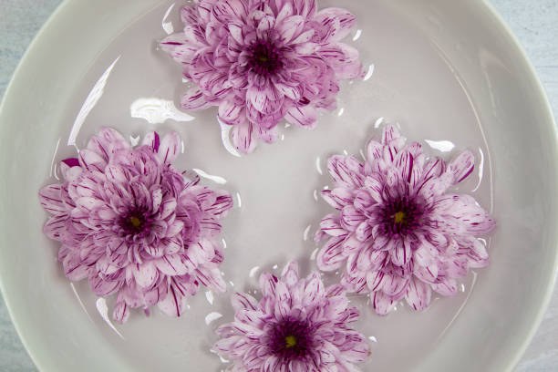istock Flowers float on water inside a dish. The dish sits on a silver wooden background 1205765846